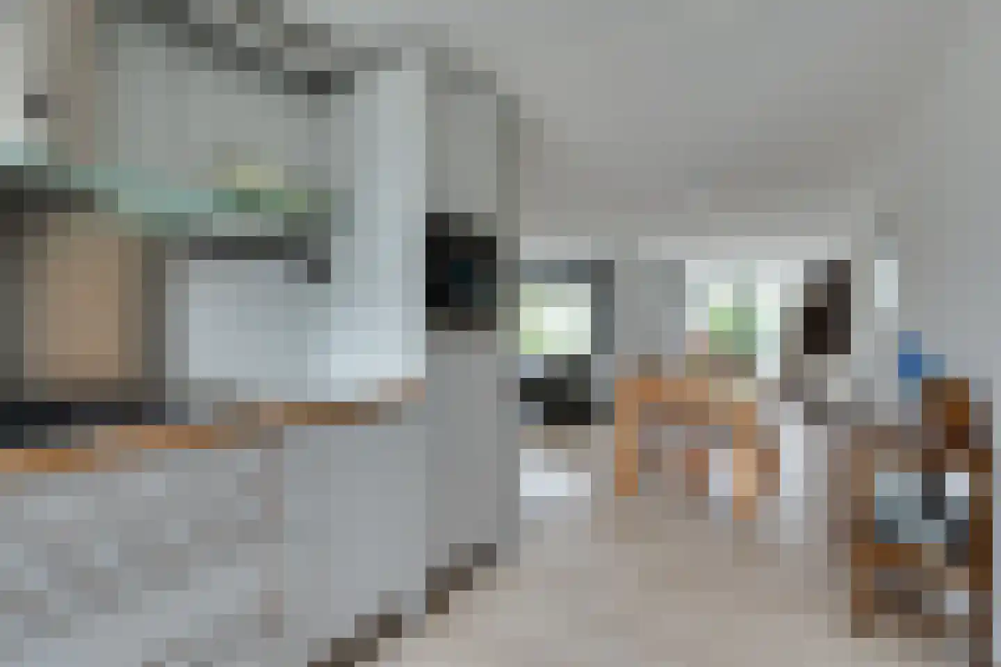 Alkmesschen 26 Assen thumbnail 13