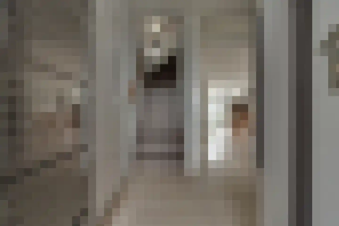 Alkmesschen 26 Assen thumbnail 16