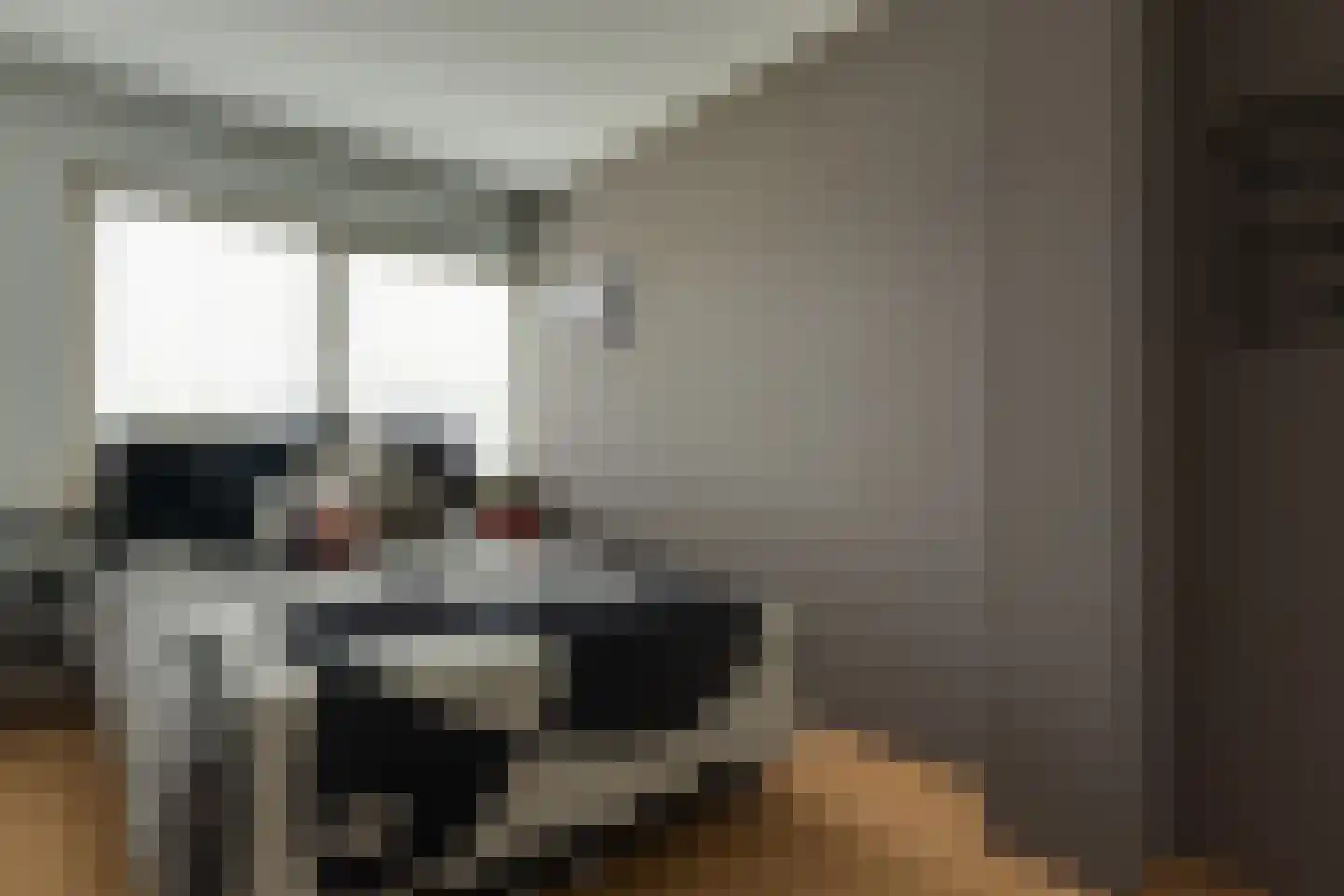 Alkmesschen 26 Assen thumbnail 17