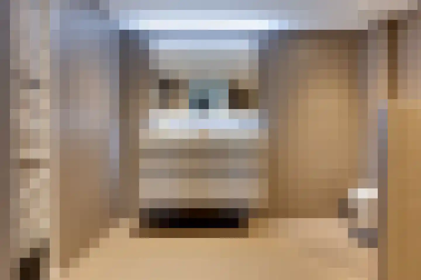 Alkmesschen 26 Assen thumbnail 24