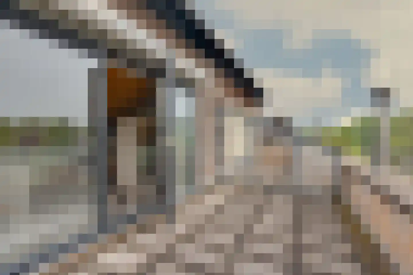 Alkmesschen 26 Assen thumbnail 29