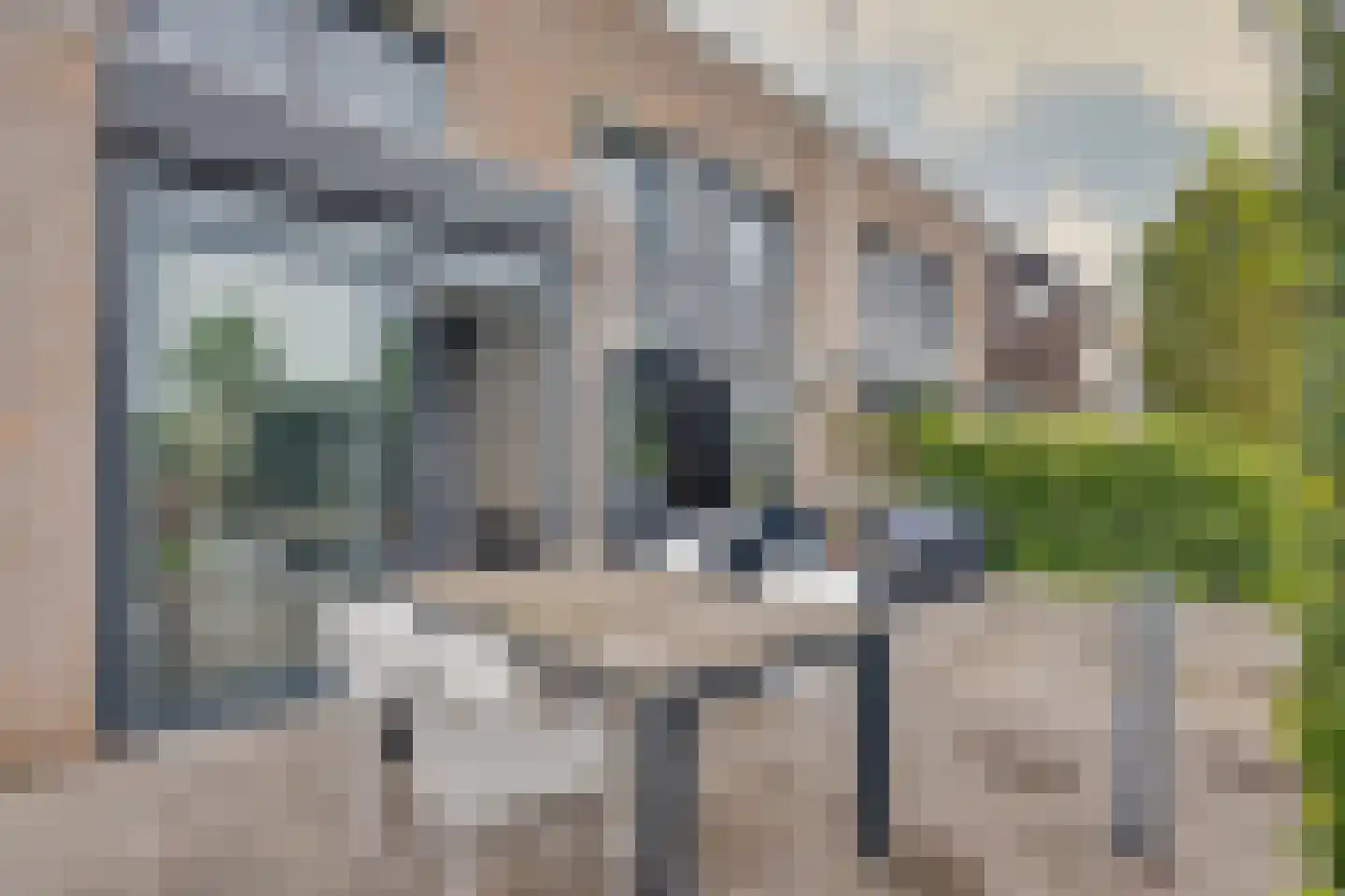 Alkmesschen 26 Assen thumbnail 34