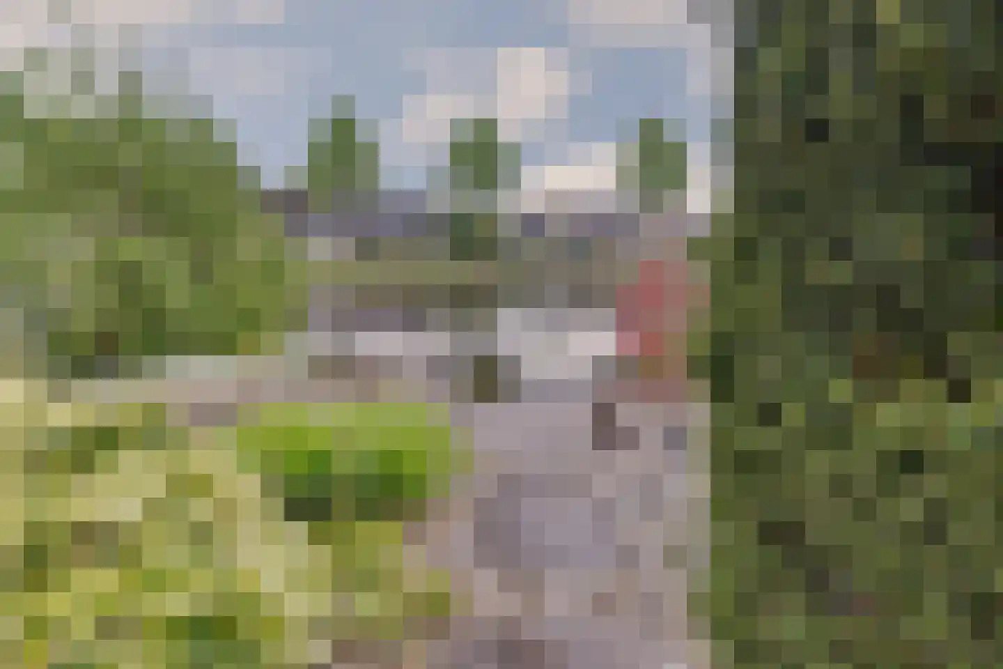 Alkmesschen 26 Assen thumbnail 35