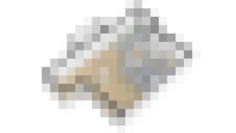 Alkmesschen 26 Assen thumbnail 39