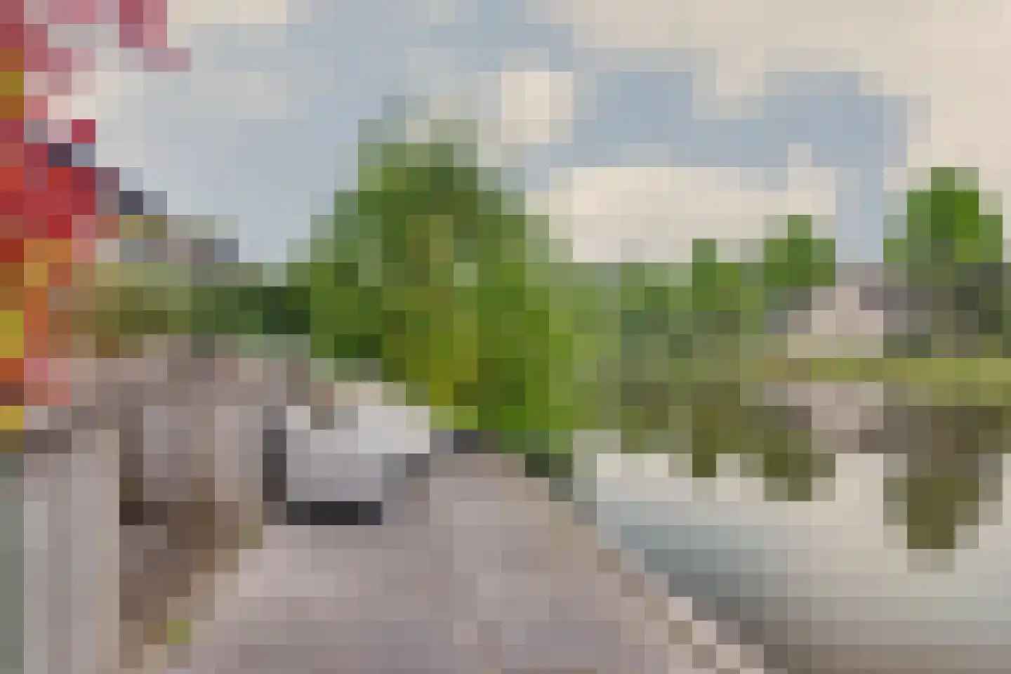 Alkmesschen 26 Assen thumbnail 4