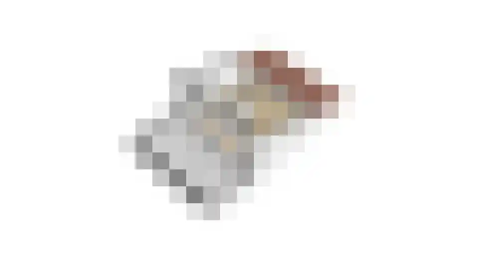 Alkmesschen 26 Assen thumbnail 43
