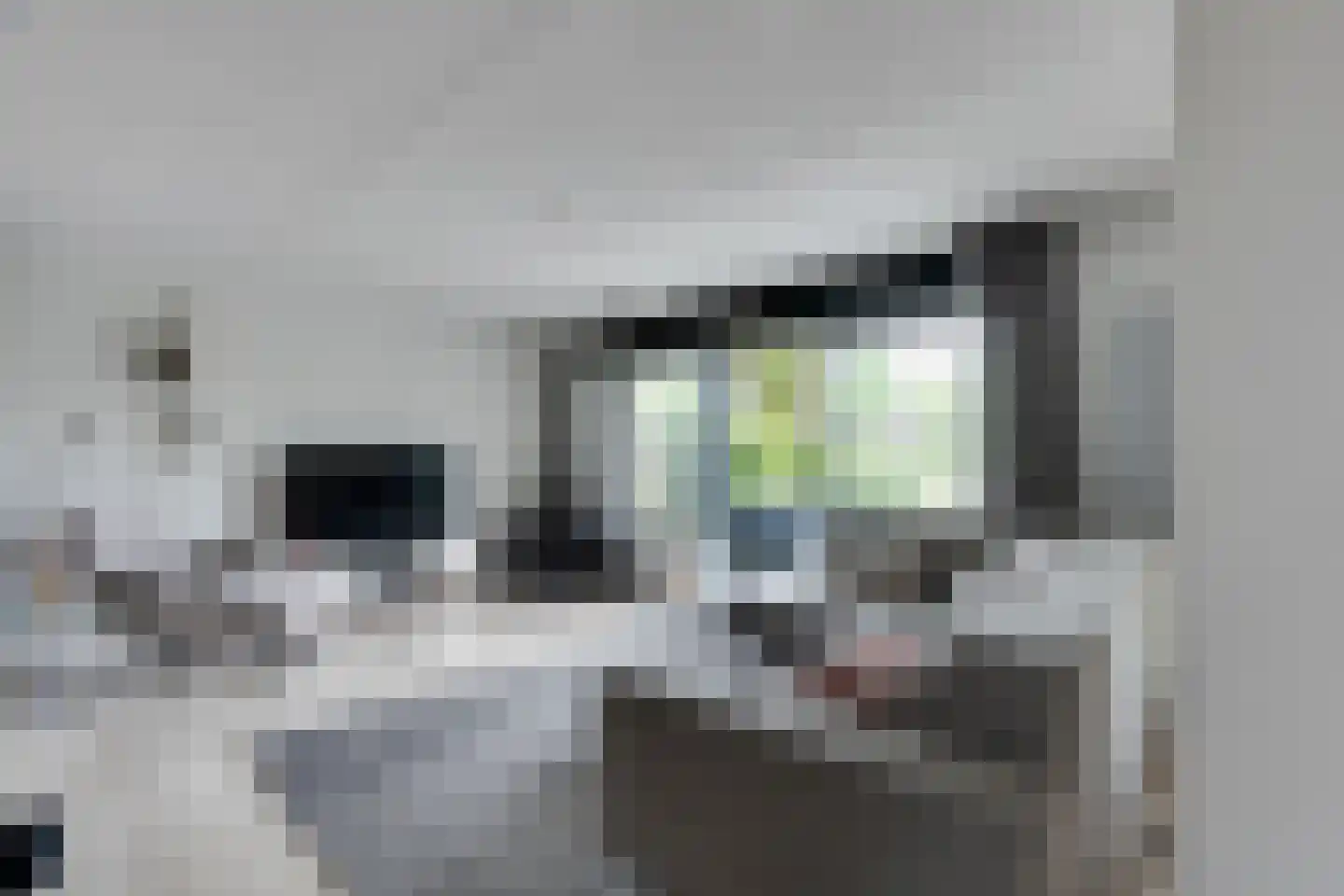 Alkmesschen 26 Assen thumbnail 5