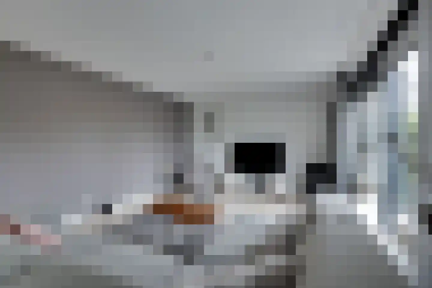 Alkmesschen 26 Assen thumbnail 6