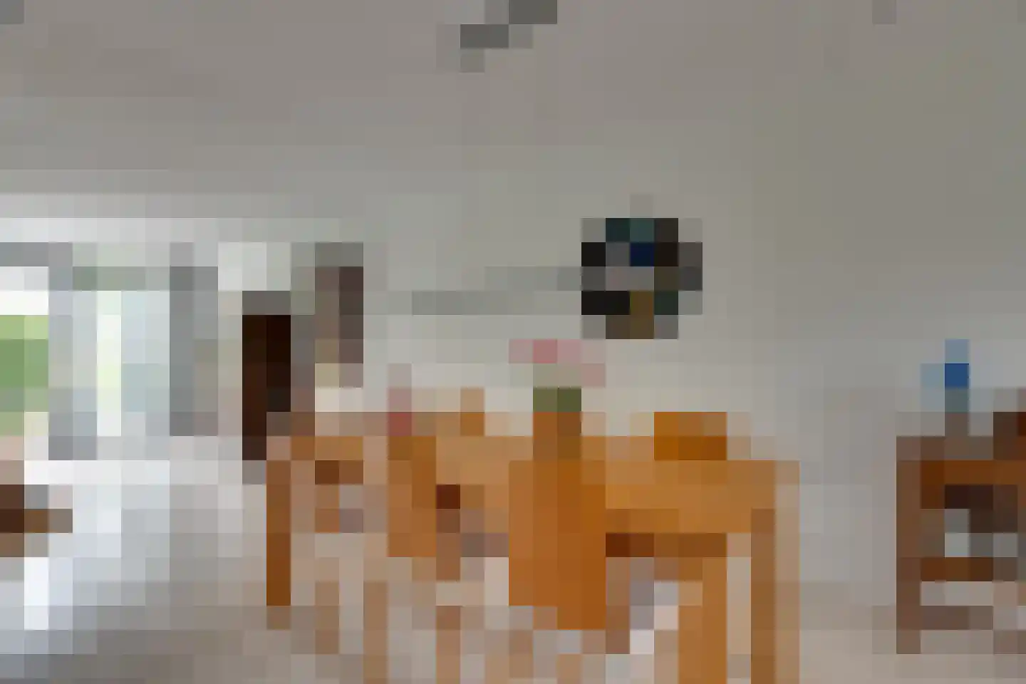 Alkmesschen 26 Assen thumbnail 9