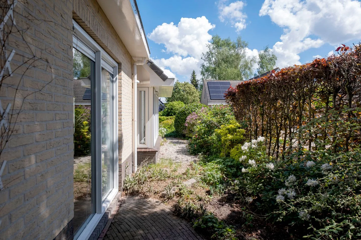 Alkmesschen 5 Assen thumbnail 32