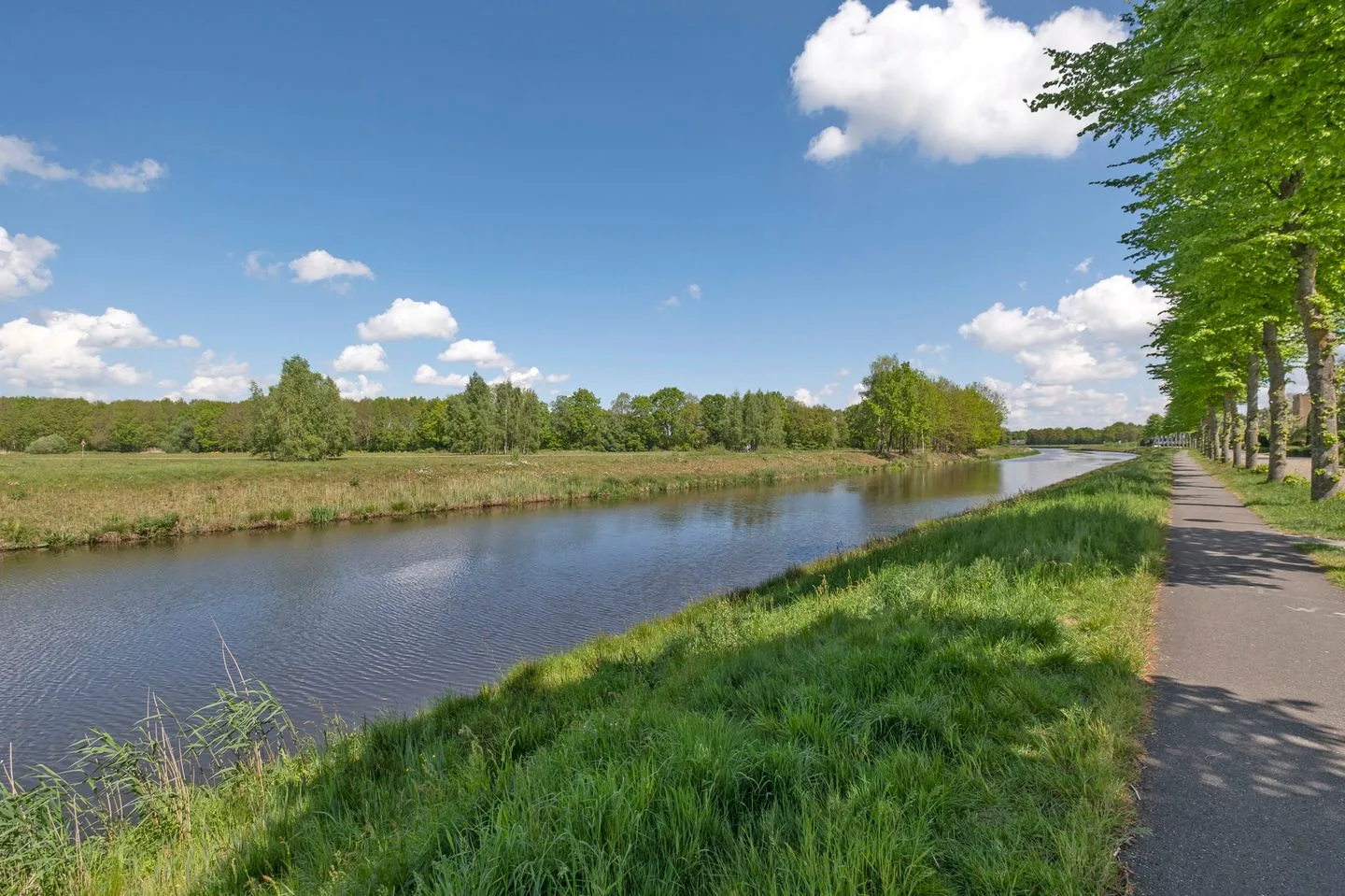Alkmesschen 5 Assen thumbnail 38