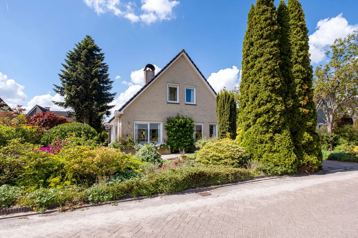 Alkmesschen 5 Assen thumbnail 39