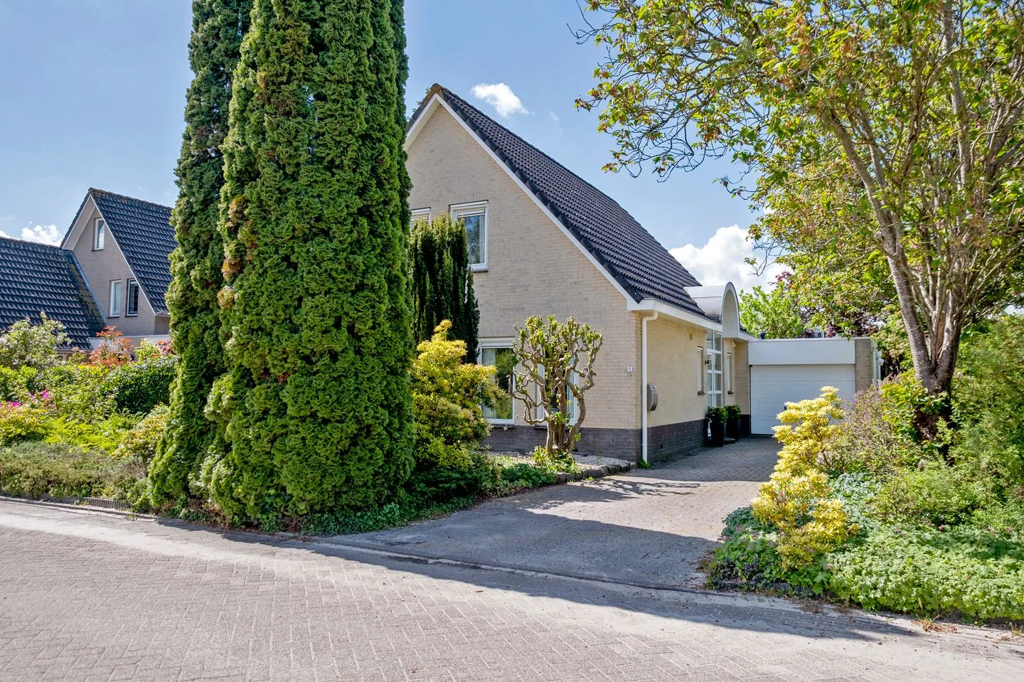 Alkmesschen 5 Assen thumbnail 42