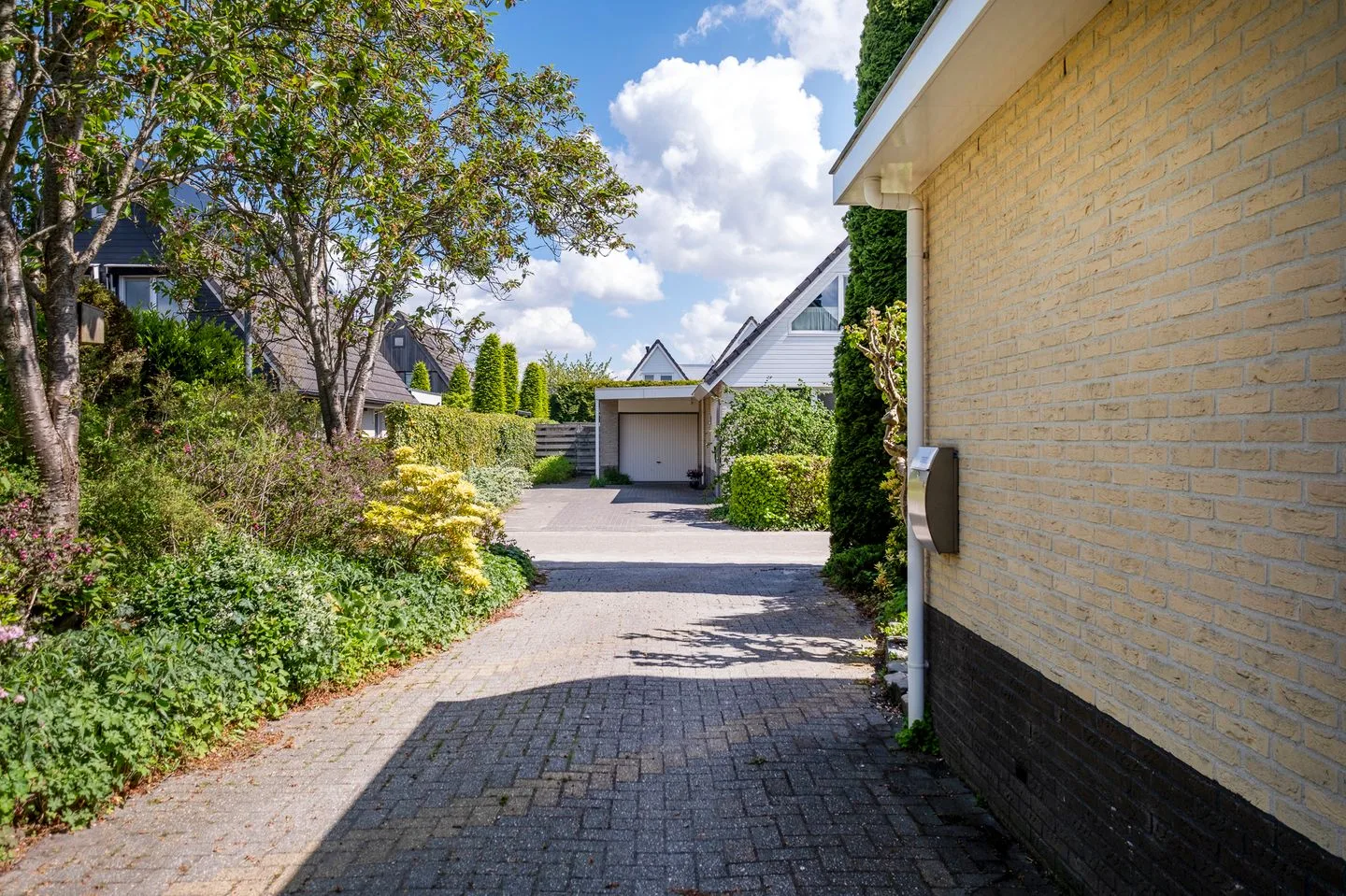 Alkmesschen 5 Assen thumbnail 44