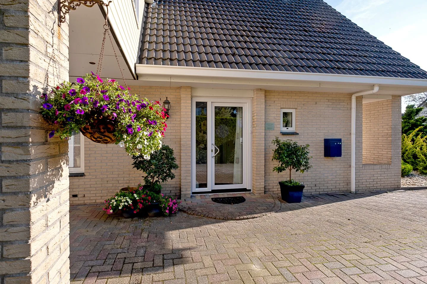 Alkmesschen 75 Assen thumbnail 49