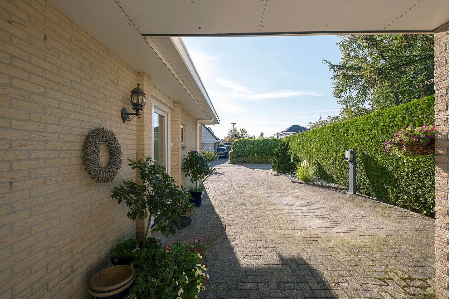 Alkmesschen 75 Assen thumbnail 51