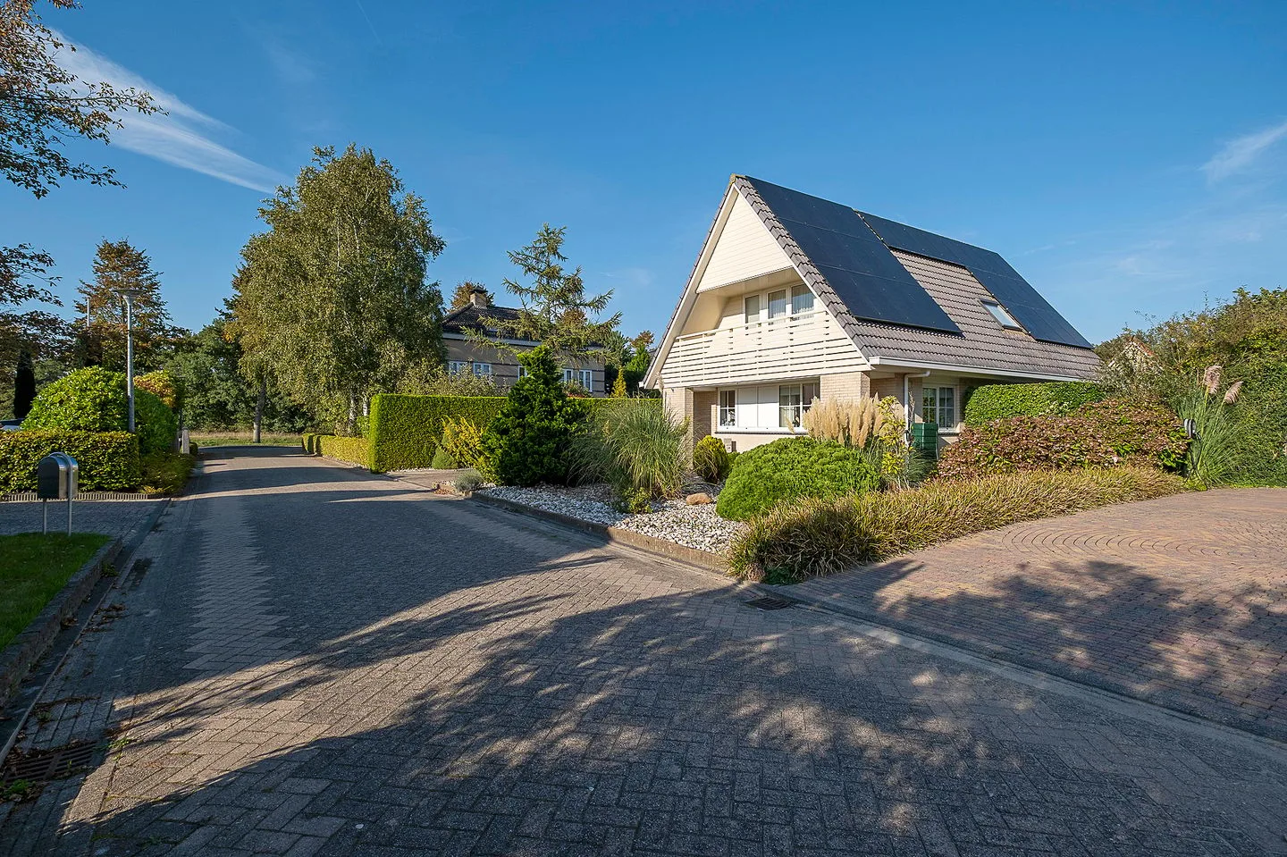 Alkmesschen 75 Assen thumbnail 55