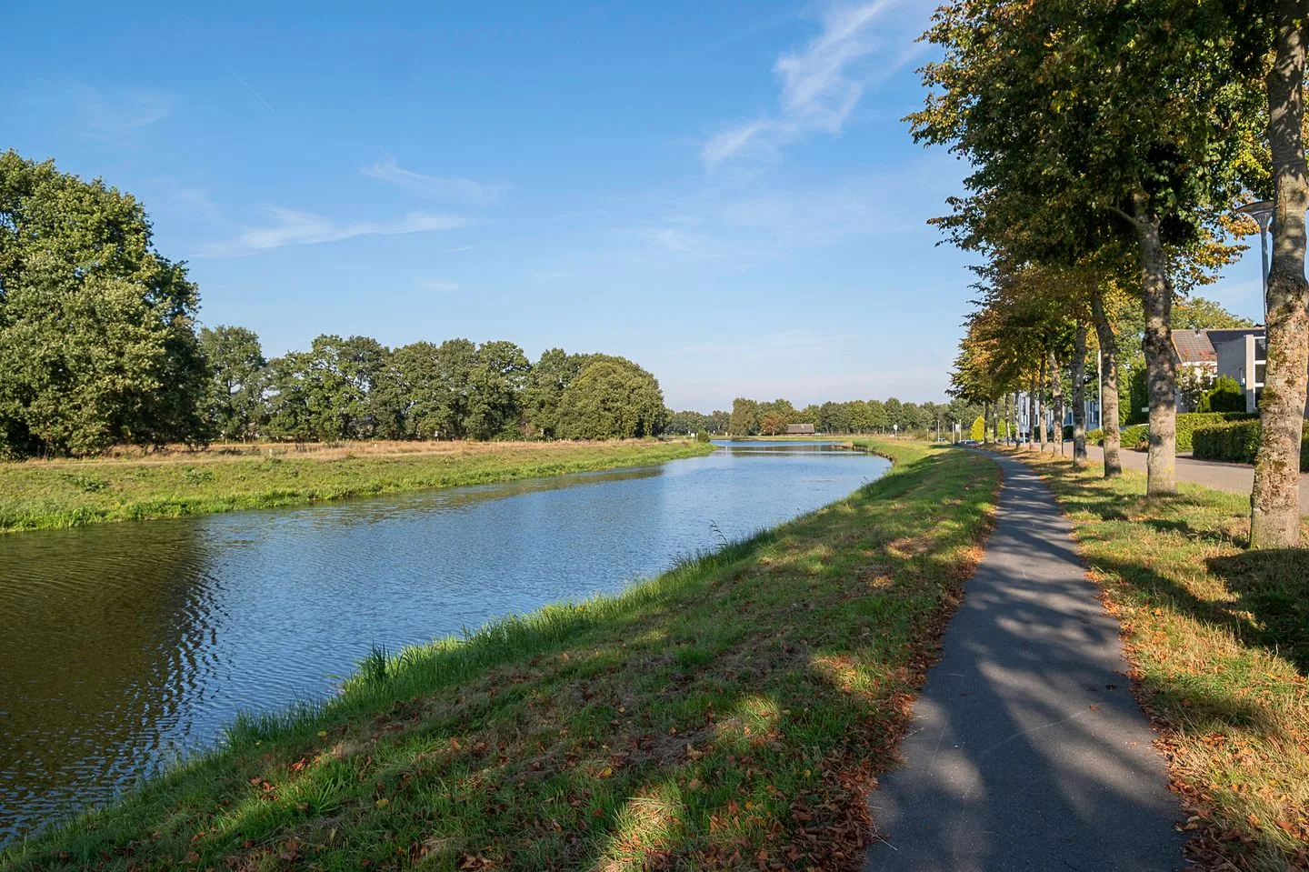 Alkmesschen 75 Assen thumbnail 56
