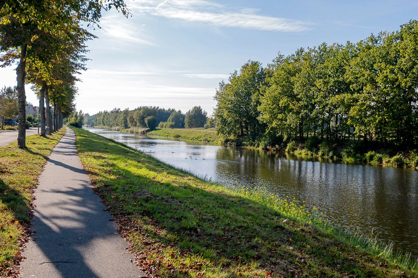Alkmesschen 75 Assen thumbnail 57