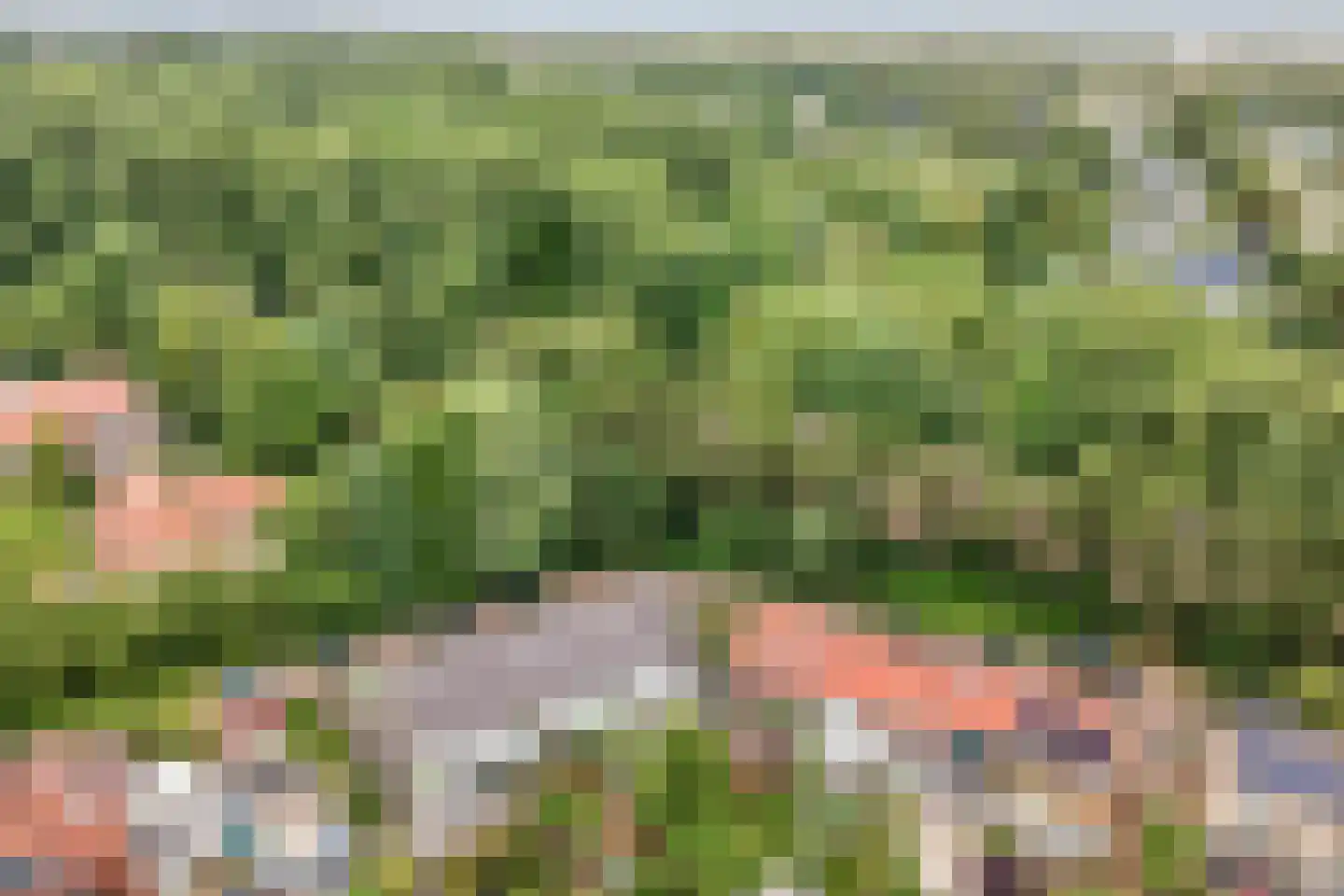 Alkstraat 16 Hoek van Holland thumbnail 45