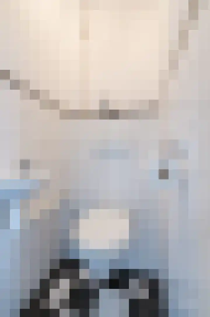 Alkstraat 18 Geldrop thumbnail 15