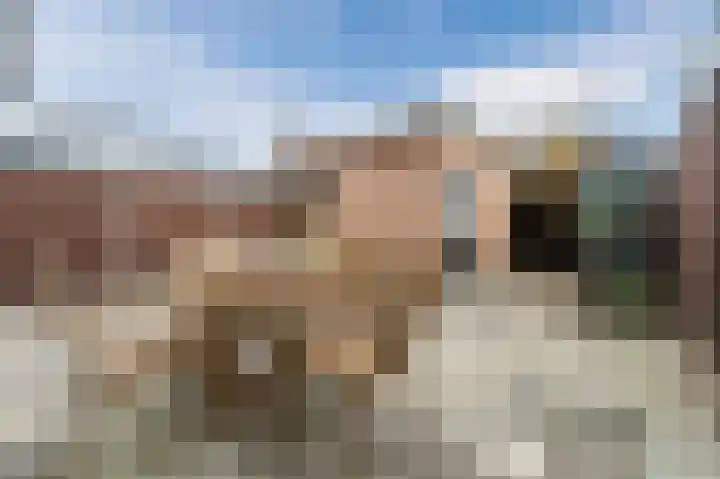 Alkstraat 18 Geldrop thumbnail 38