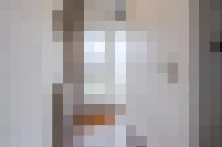 Alkstraat 18 Geldrop thumbnail 4