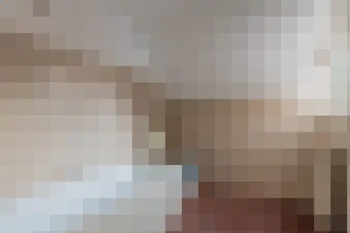 Alkstraat 18 Geldrop thumbnail 44