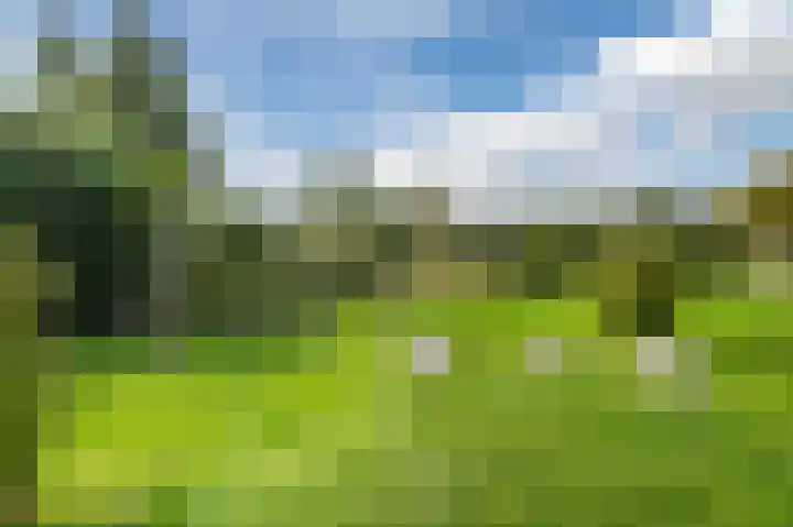 Alkstraat 18 Geldrop thumbnail 45