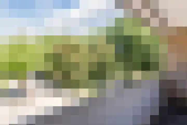 Alkstraat 18 Geldrop thumbnail 54