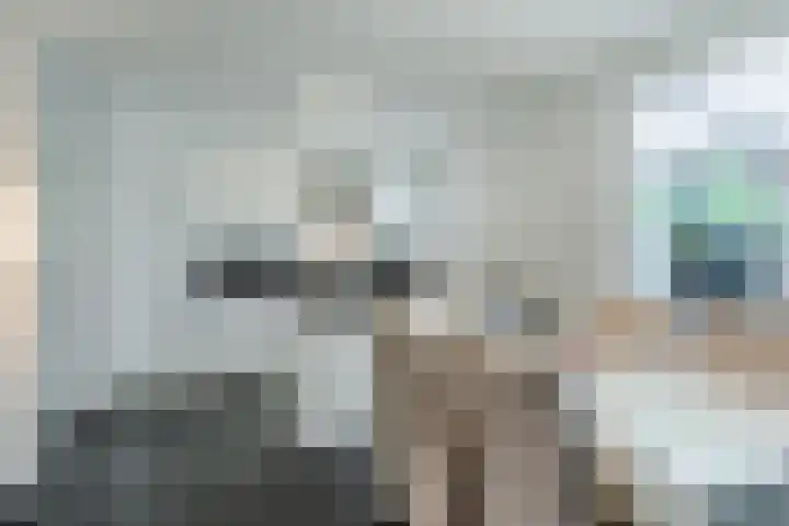Alkstraat 20 Geldrop thumbnail 10