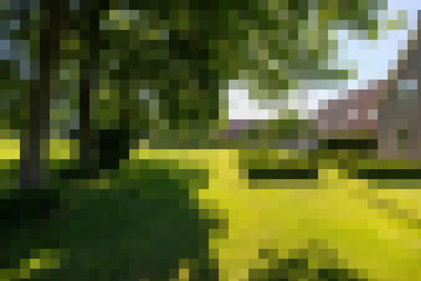 Alkstraat 20 Geldrop thumbnail 14