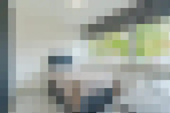 Alkstraat 20 Geldrop thumbnail 19