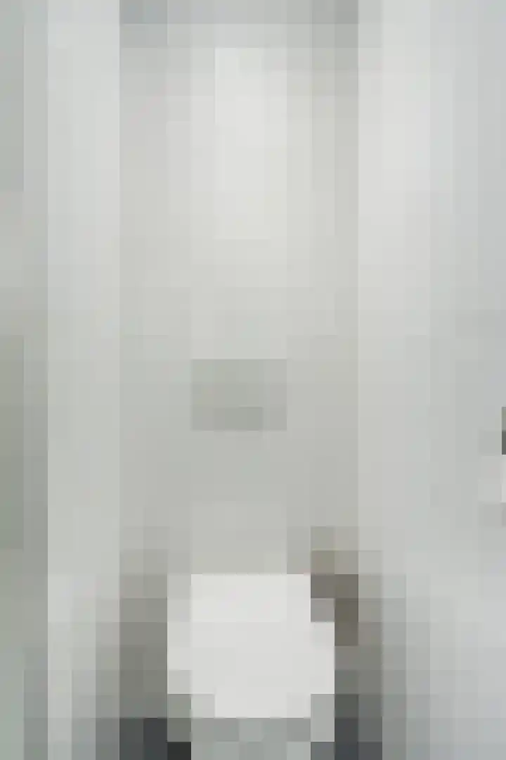 Alkstraat 20 Geldrop thumbnail 23