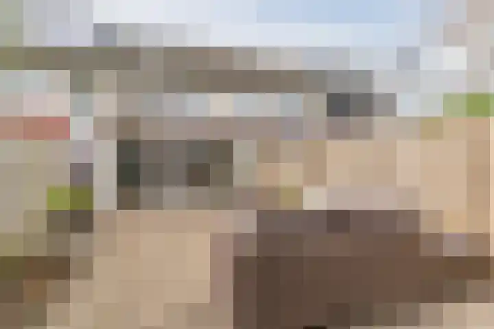 Alkstraat 20 Geldrop thumbnail 27