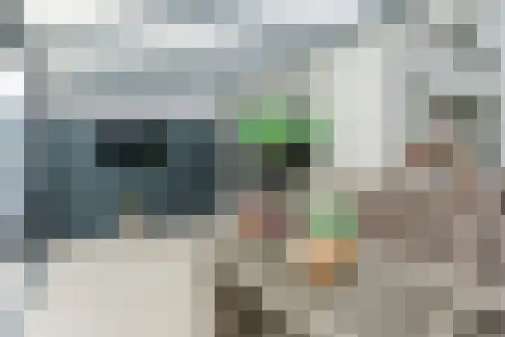 Alkstraat 20 Geldrop thumbnail 29