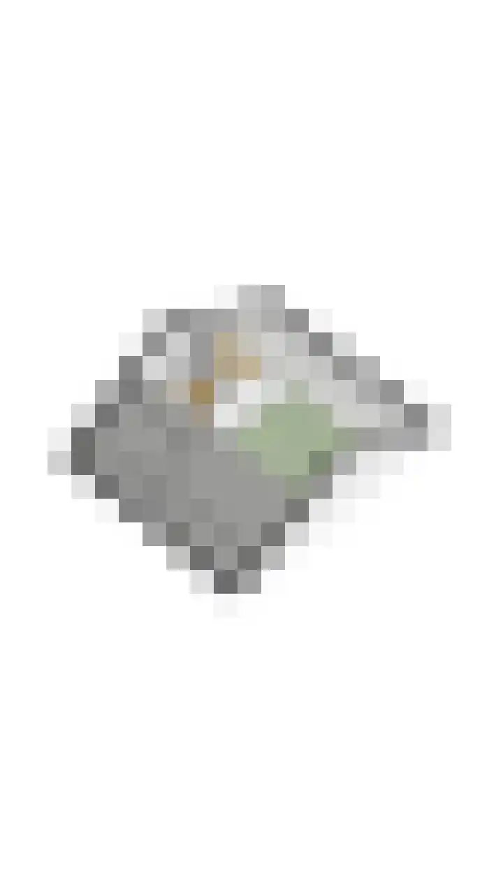 Alkstraat 20 Geldrop thumbnail 44