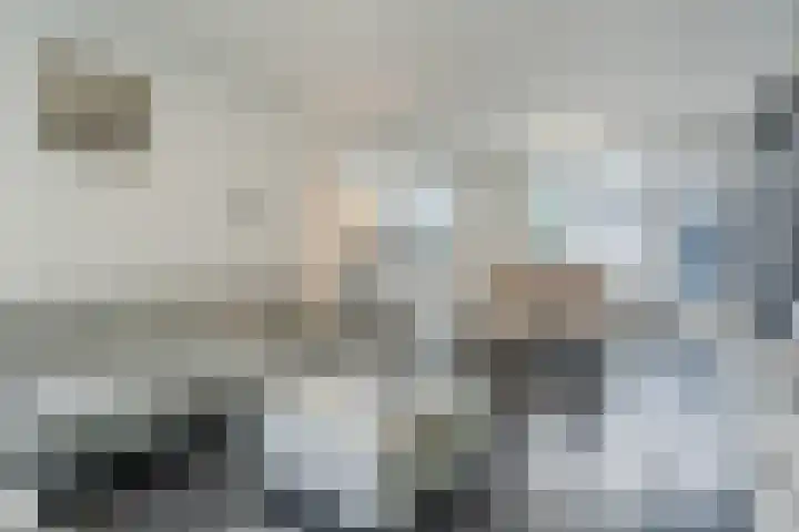 Alkstraat 20 Geldrop thumbnail 7