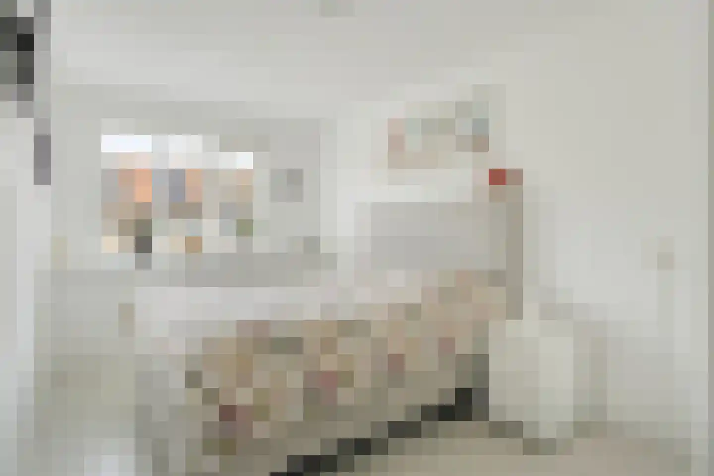 Alkstraat 28 Delft thumbnail 15