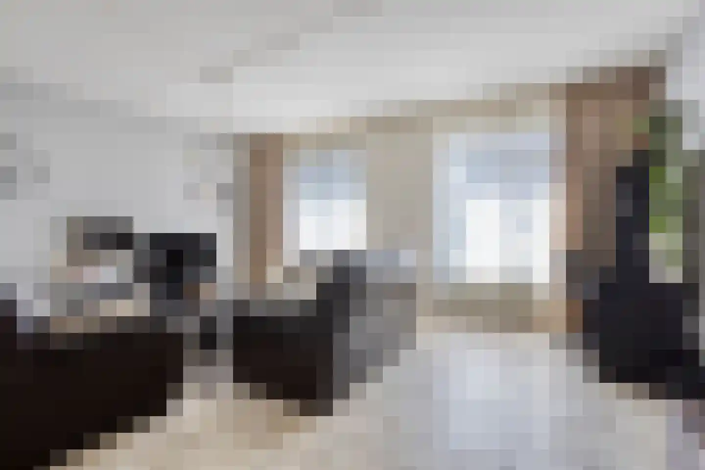 Alladinstraat 11 Druten thumbnail 10