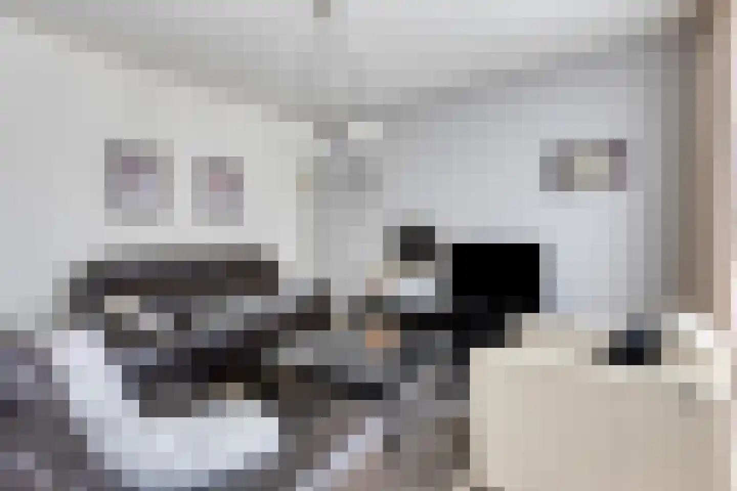 Alladinstraat 11 Druten thumbnail 11