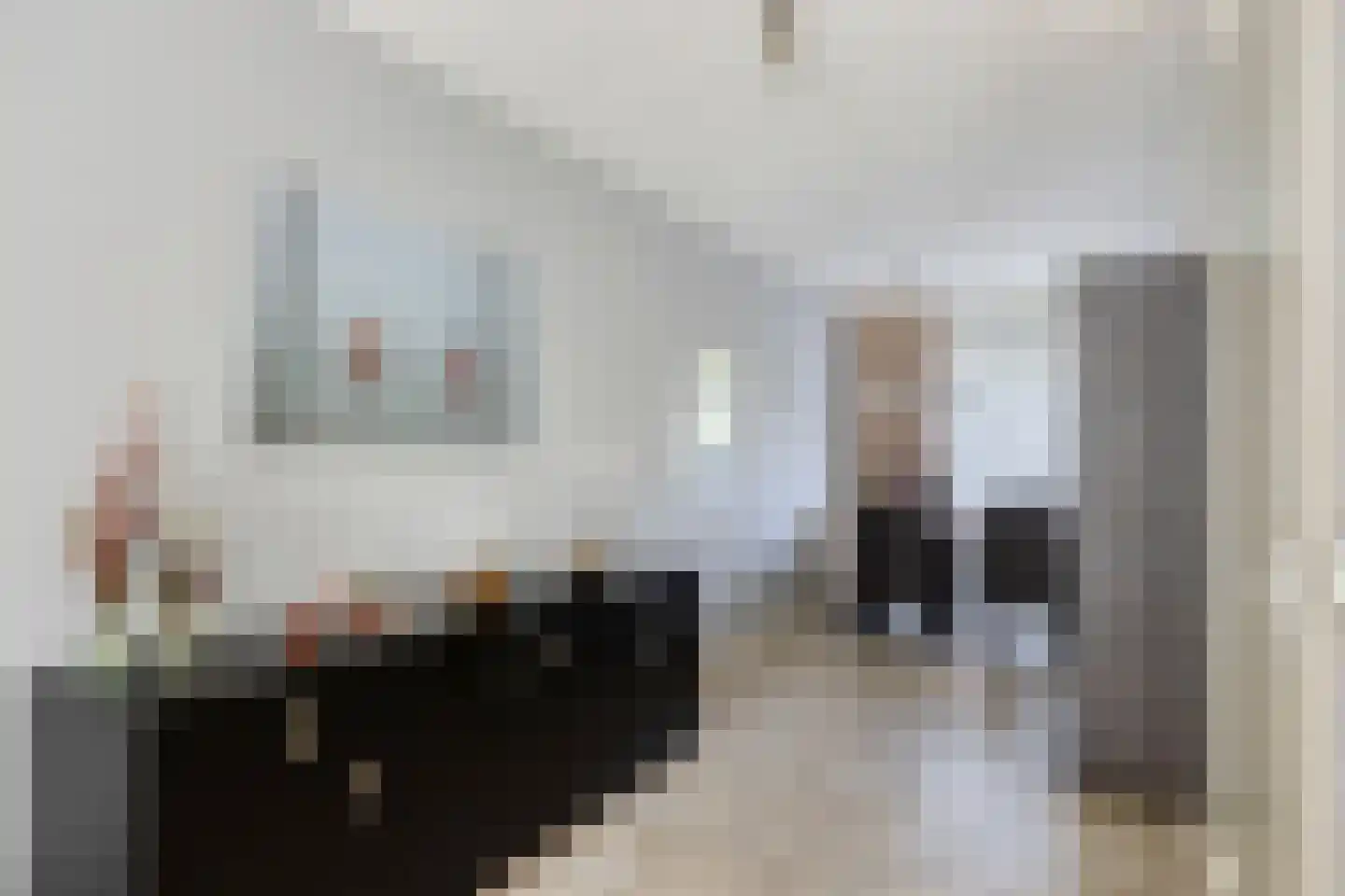 Alladinstraat 11 Druten thumbnail 14