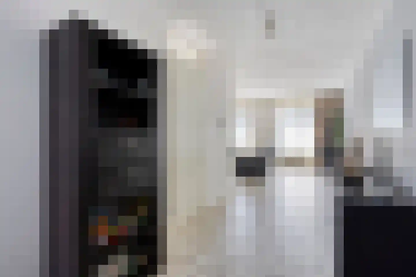 Alladinstraat 11 Druten thumbnail 15