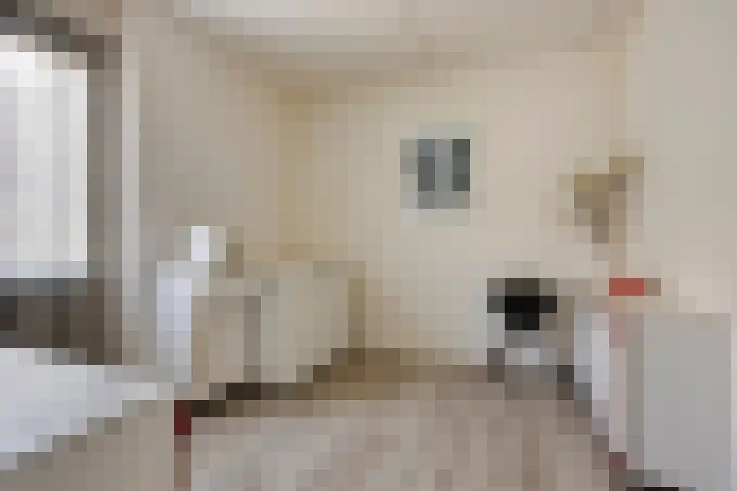 Alladinstraat 11 Druten thumbnail 20