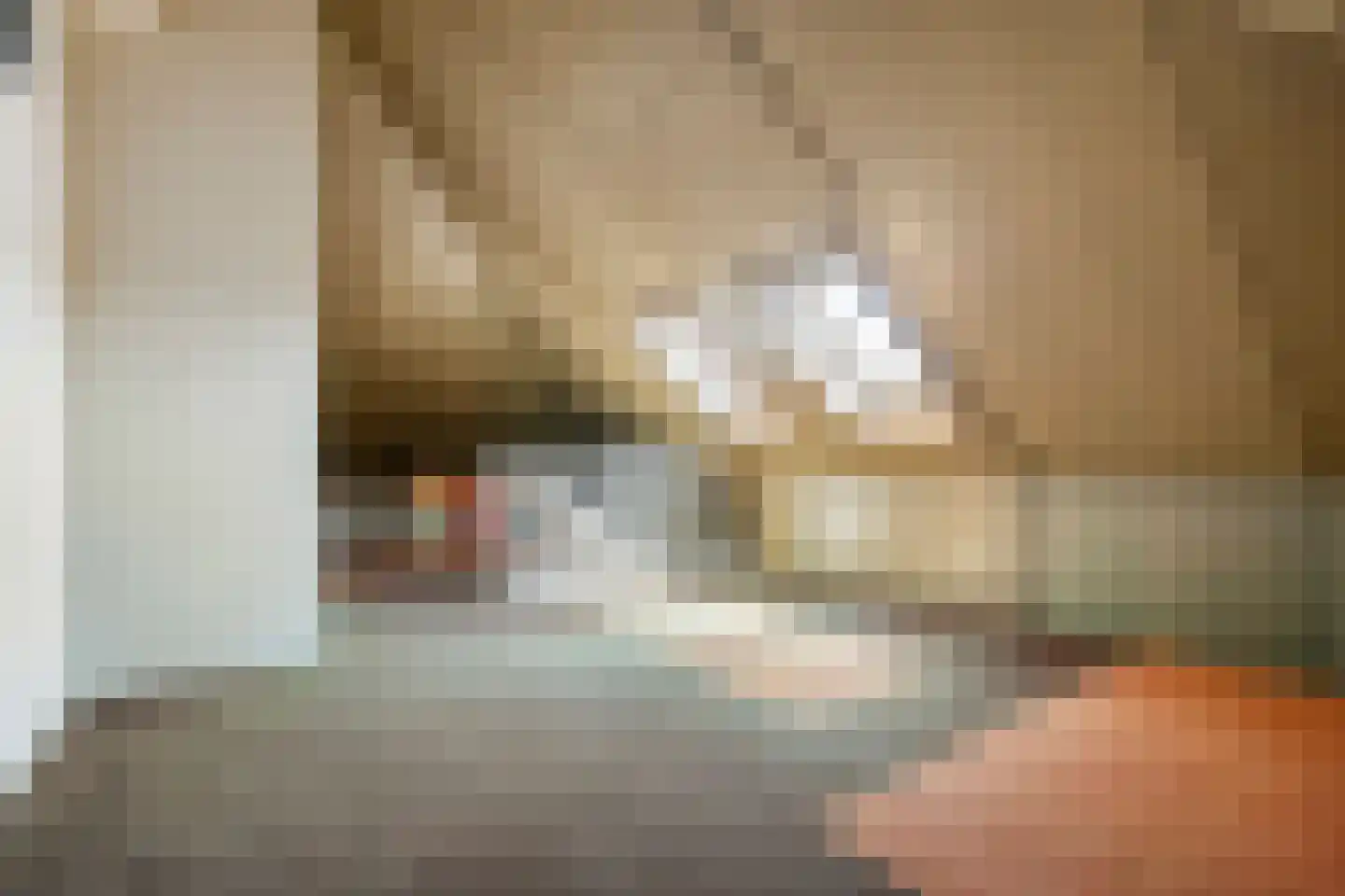 Alladinstraat 11 Druten thumbnail 29