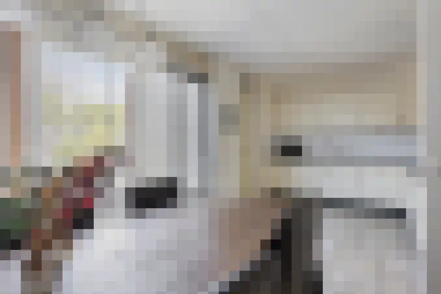Alladinstraat 11 Druten foto 3