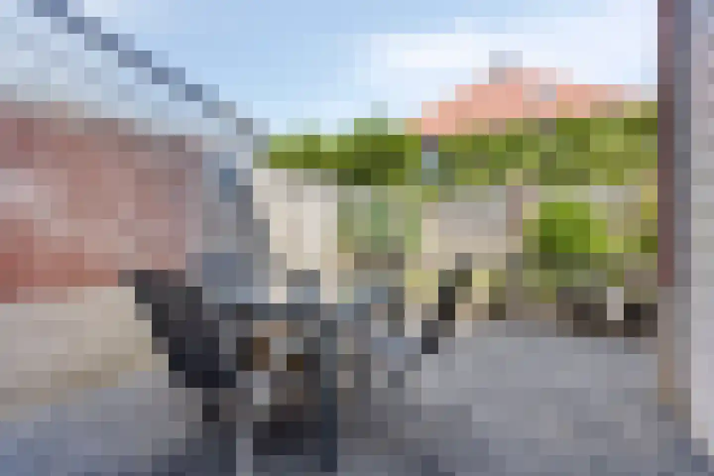Alladinstraat 11 Druten thumbnail 31