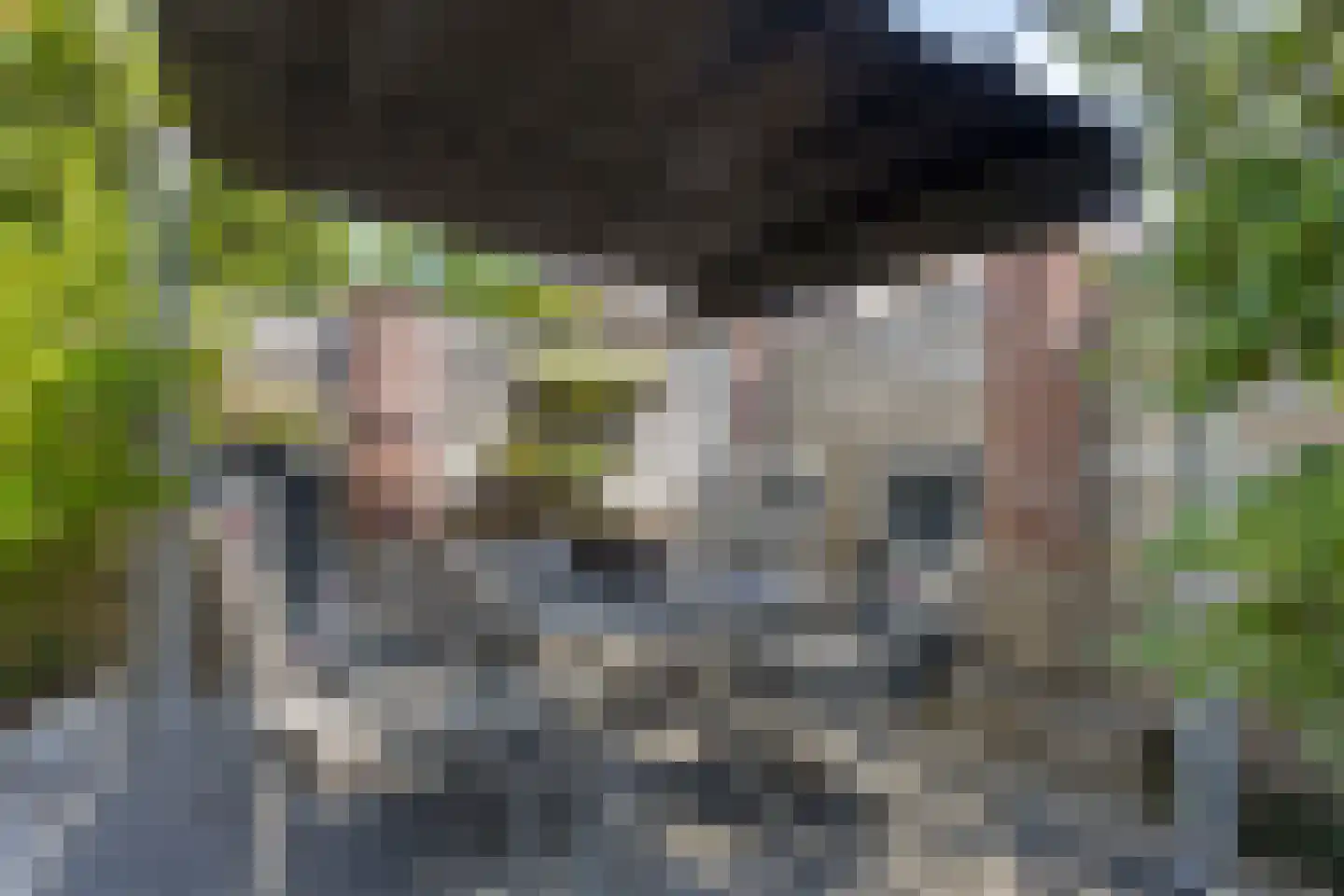 Alladinstraat 11 Druten thumbnail 33