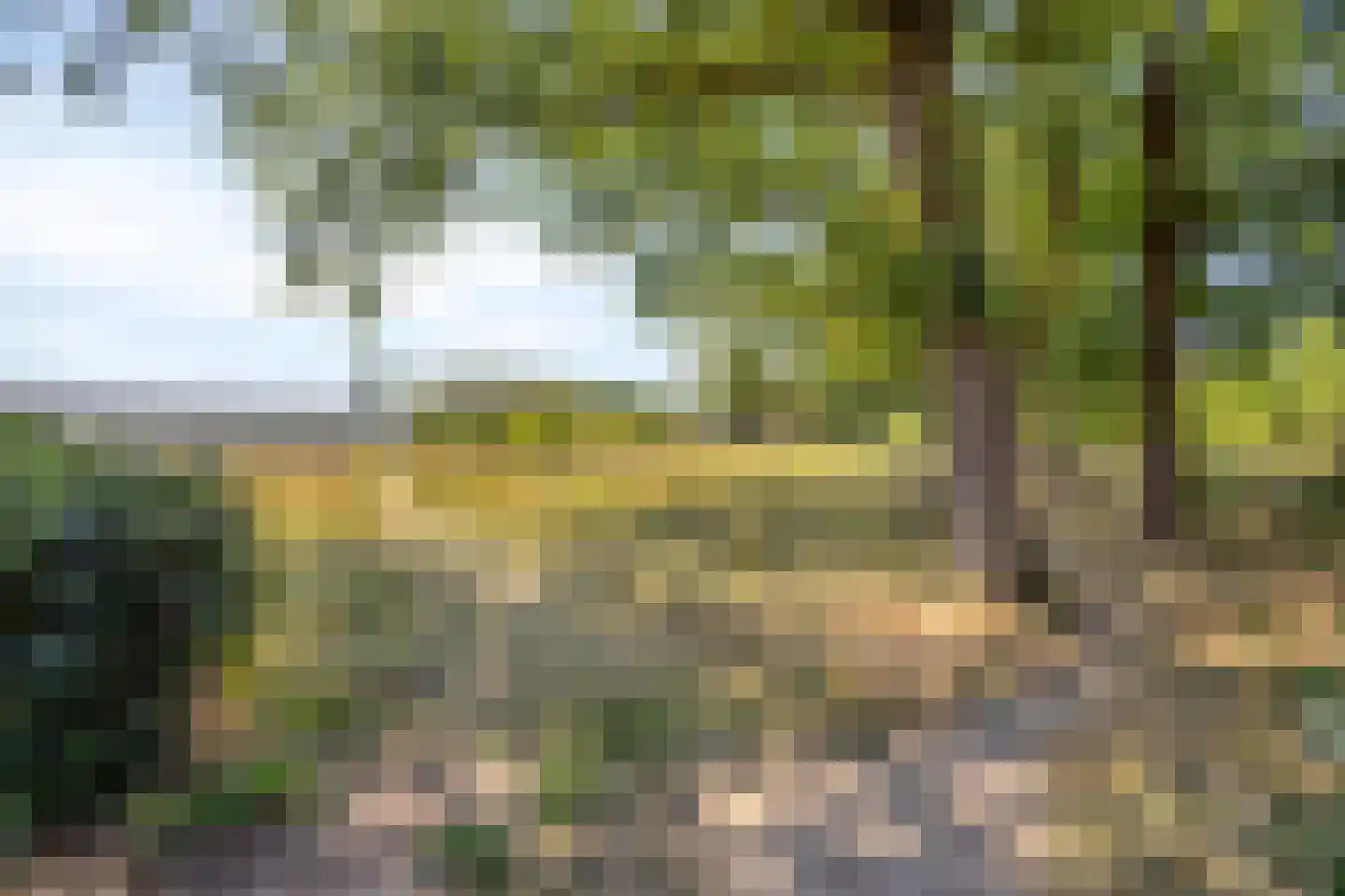 Alladinstraat 11 Druten thumbnail 38