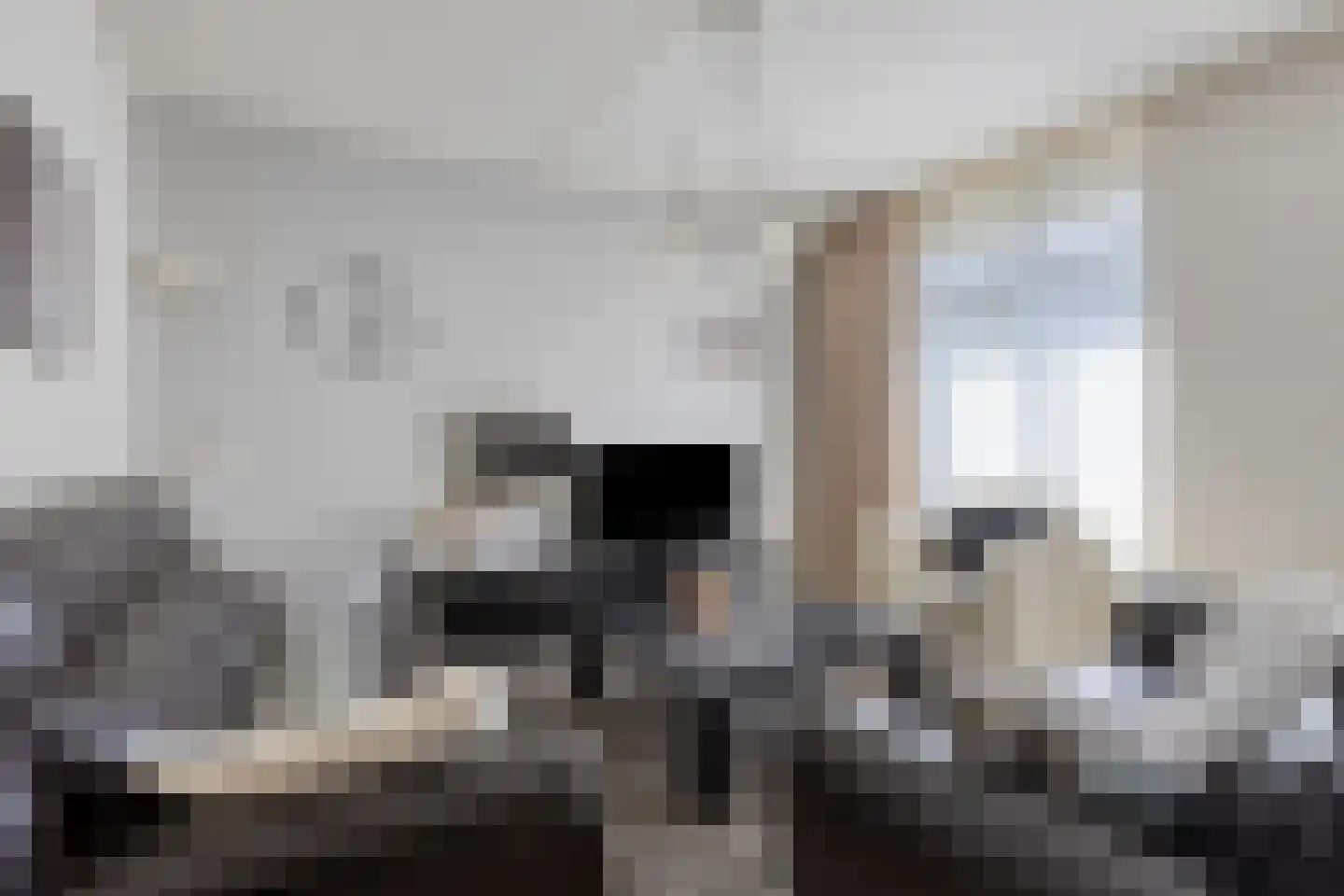 Alladinstraat 11 Druten thumbnail 9